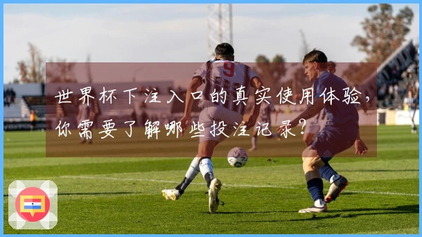 世界杯下注入口的真实使用体验，你需要了解哪些投注记录？