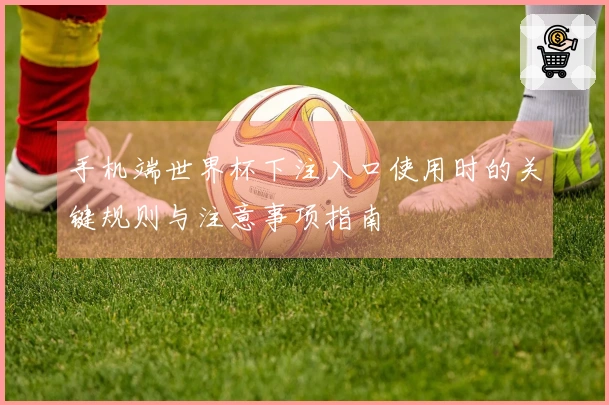 手机端世界杯下注入口使用时的关键规则与注意事项指南