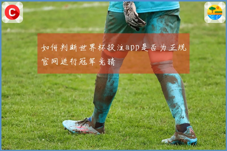 如何判断世界杯投注app是否为正规官网进行冠军竞猜