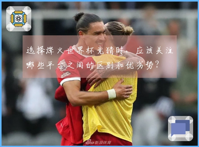 选择烽火世界杯竞猜时，应该关注哪些平台之间的区别和优劣势？