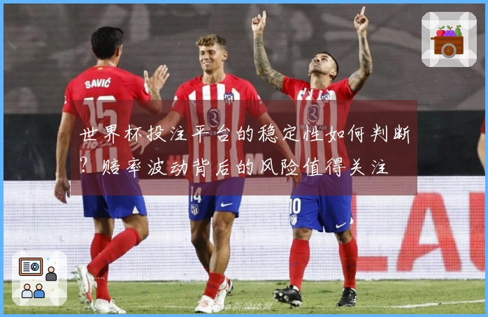 世界杯投注平台的稳定性如何判断？赔率波动背后的风险值得关注