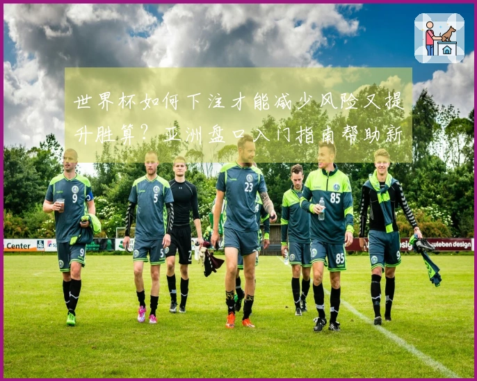 世界杯如何下注才能减少风险又提升胜算？亚洲盘口入门指南帮助新手避免踩坑