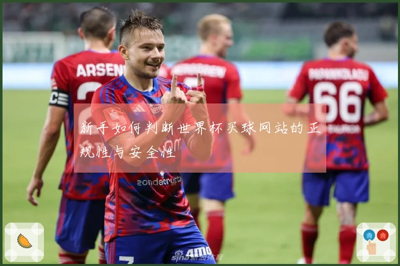 新手如何判断世界杯买球网站的正规性与安全性