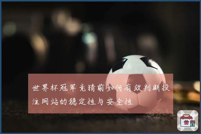 世界杯冠军竞猜前如何有效判断投注网站的稳定性与安全性