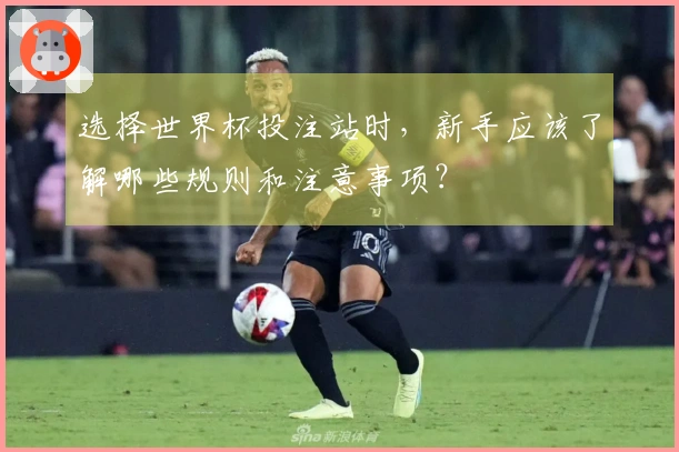 选择世界杯投注站时，新手应该了解哪些规则和注意事项？