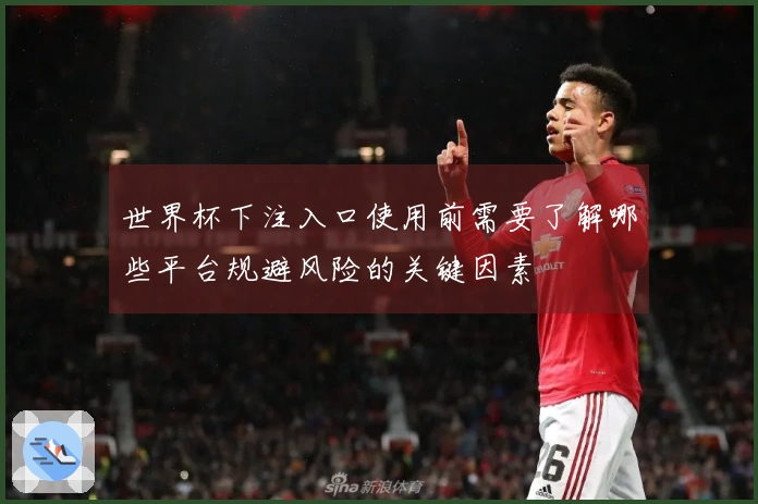 世界杯下注入口使用前需要了解哪些平台规避风险的关键因素