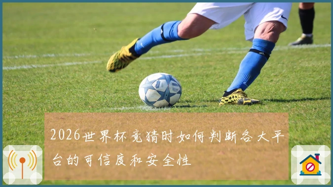 2026世界杯竞猜时如何判断各大平台的可信度和安全性