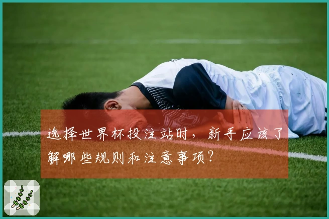 选择世界杯投注站时，新手应该了解哪些规则和注意事项？