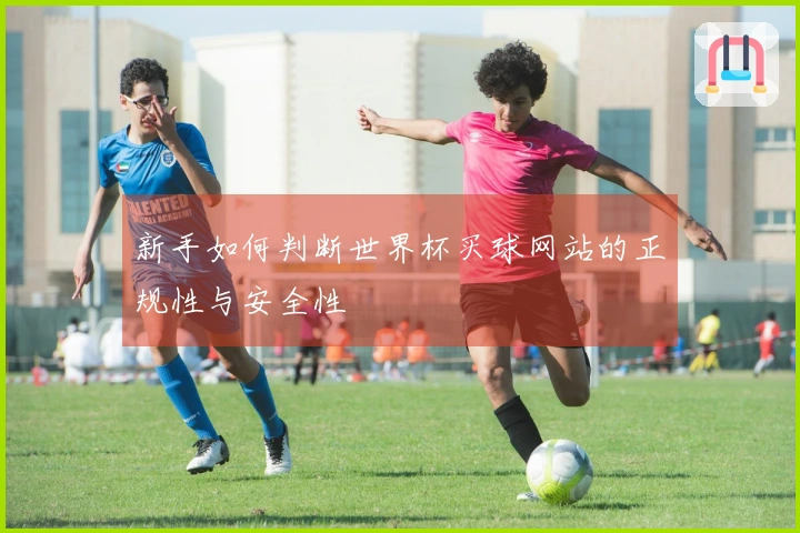 新手如何判断世界杯买球网站的正规性与安全性