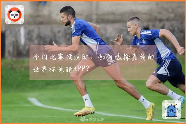 冷门比赛投注时，如何选择靠谱的世界杯竞猜APP？
