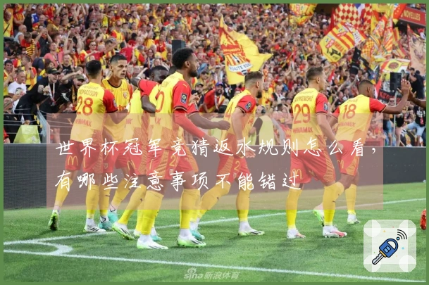 世界杯冠军竞猜返水规则怎么看，有哪些注意事项不能错过