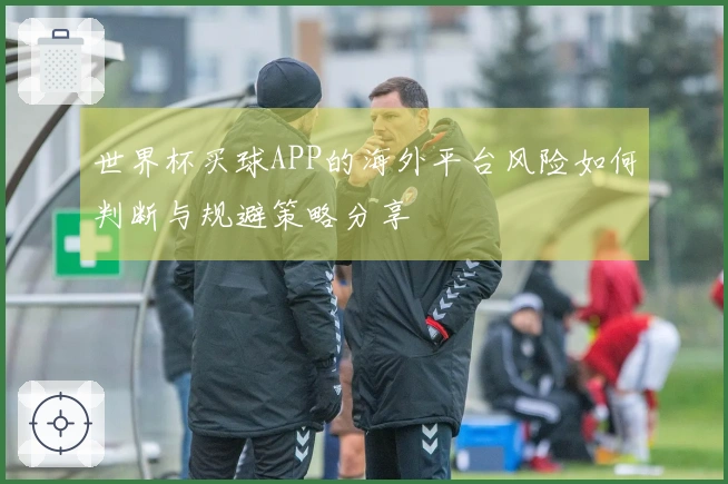 世界杯买球APP的海外平台风险如何判断与规避策略分享