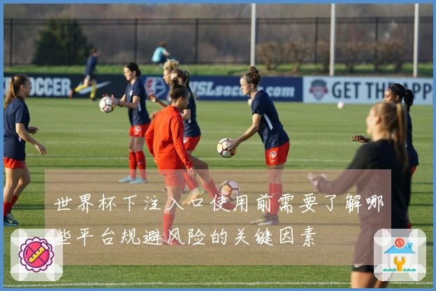 世界杯下注入口使用前需要了解哪些平台规避风险的关键因素