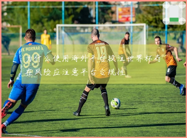 为什么使用海外平台投注世界杯存在风险应注意平台合规性