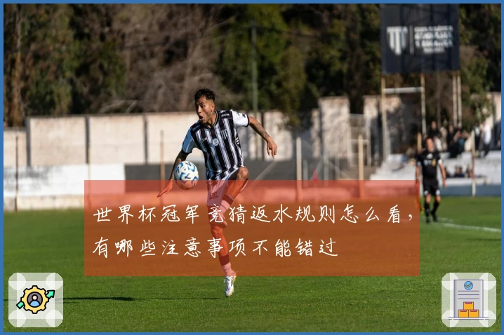 世界杯冠军竞猜返水规则怎么看，有哪些注意事项不能错过