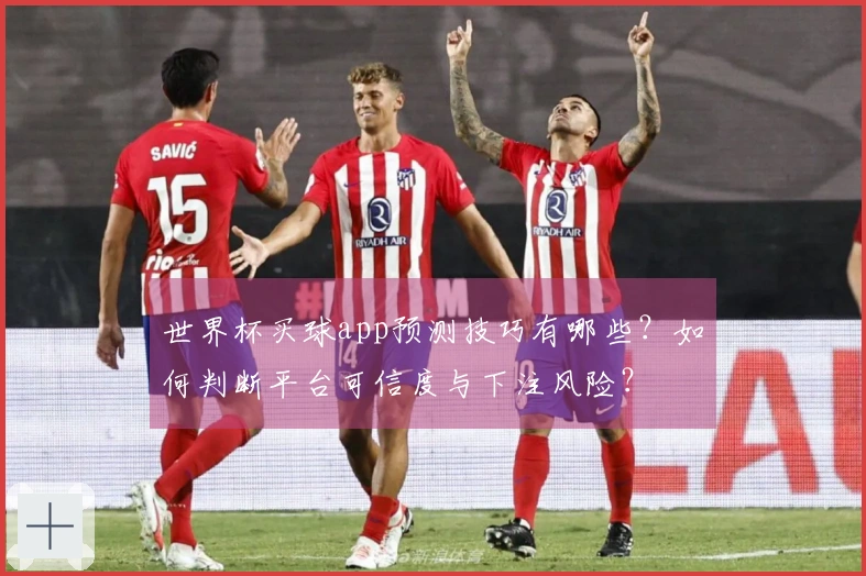 世界杯买球app预测技巧有哪些？如何判断平台可信度与下注风险？