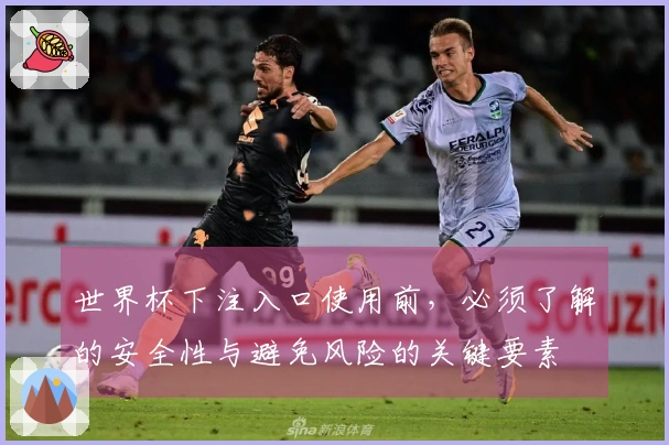 世界杯下注入口使用前，必须了解的安全性与避免风险的关键要素