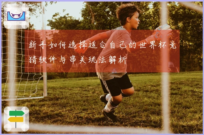 新手如何选择适合自己的世界杯竞猜软件与串关玩法解析