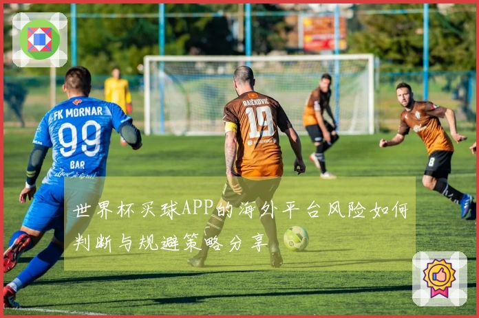 世界杯买球APP的海外平台风险如何判断与规避策略分享