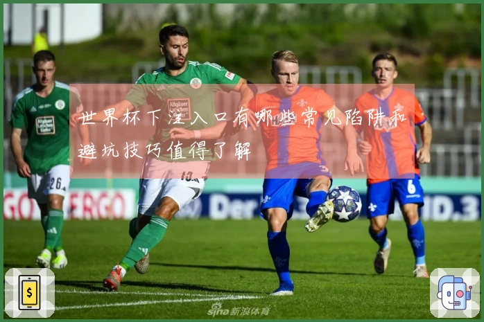 世界杯下注入口有哪些常见陷阱和避坑技巧值得了解