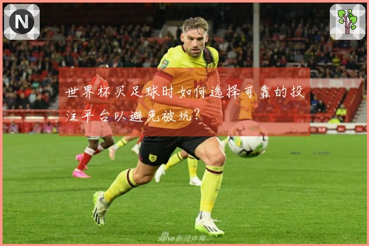 世界杯买足球时如何选择可靠的投注平台以避免被坑？