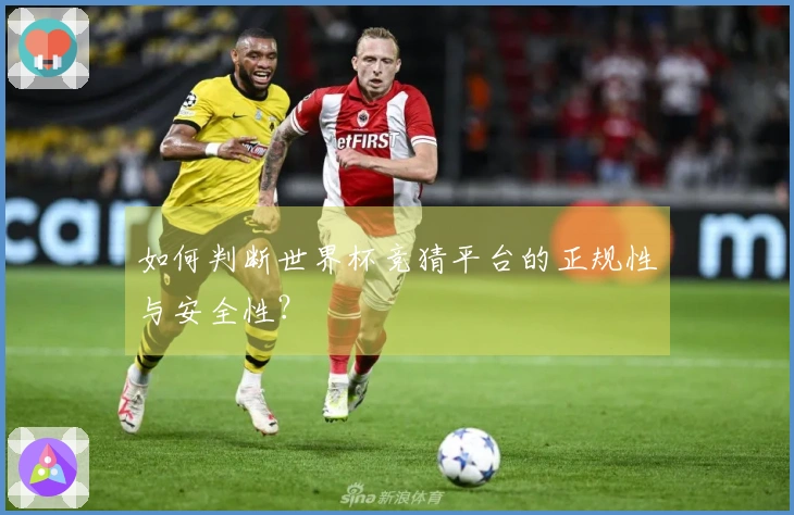 如何判断世界杯竞猜平台的正规性与安全性？