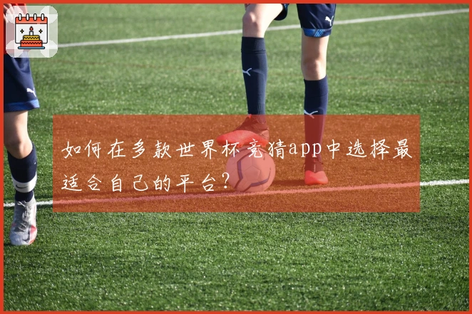 如何在多款世界杯竞猜app中选择最适合自己的平台？