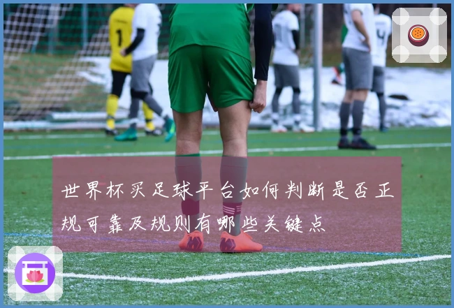 世界杯买足球平台如何判断是否正规可靠及规则有哪些关键点