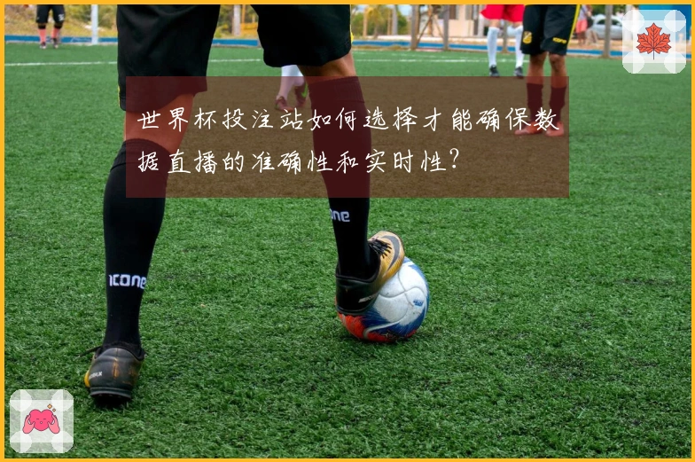 世界杯投注站如何选择才能确保数据直播的准确性和实时性？